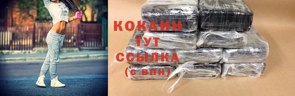 индика Белокуриха