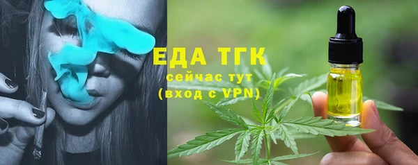 индика Белокуриха