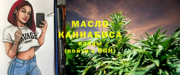индика Белокуриха