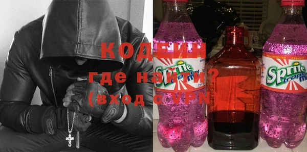 индика Белокуриха