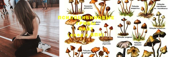 кристаллы Богородицк
