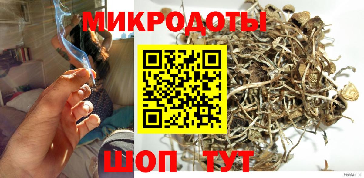 Псилоцибиновые грибы Magic Shrooms  Вход с VPN  Долгопрудный 