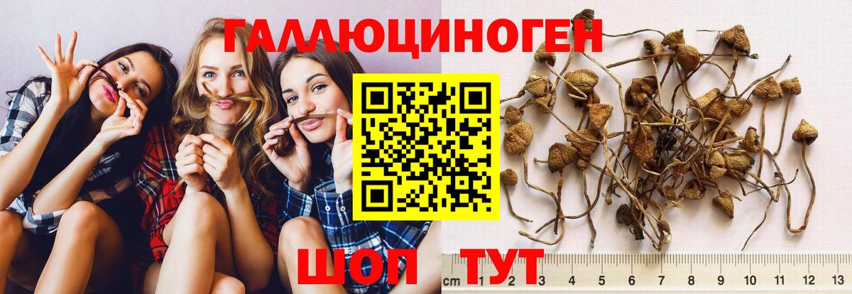 Галлюциногенные грибы ЛСД Долгопрудный