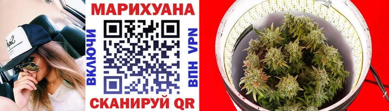 Каннабис индика Долгопрудный